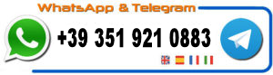 Contact on WhatsApp & Telegram